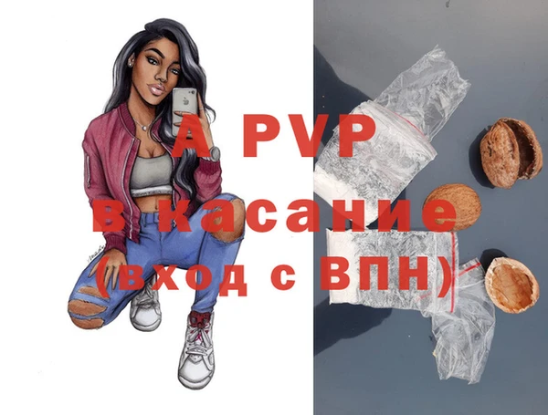 твердый Абаза
