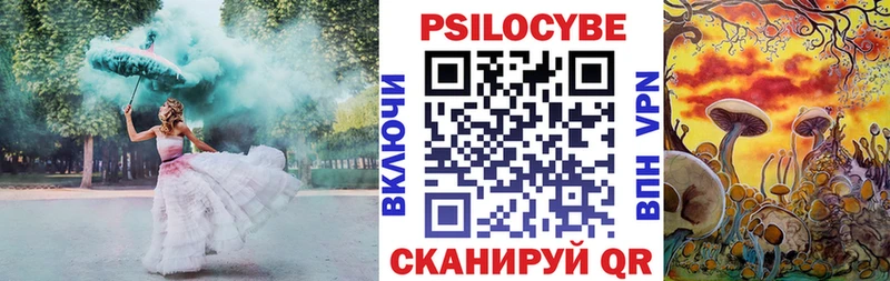 Псилоцибиновые грибы GOLDEN TEACHER  где можно купить наркотик  Великий Новгород 