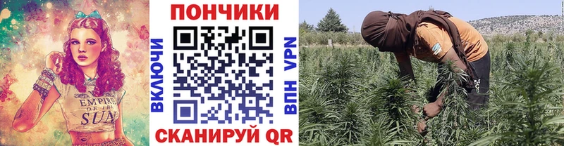 Каннабис Bruce Banner ОМГ ОМГ маркетплейс Великий Новгород что такое наркотик